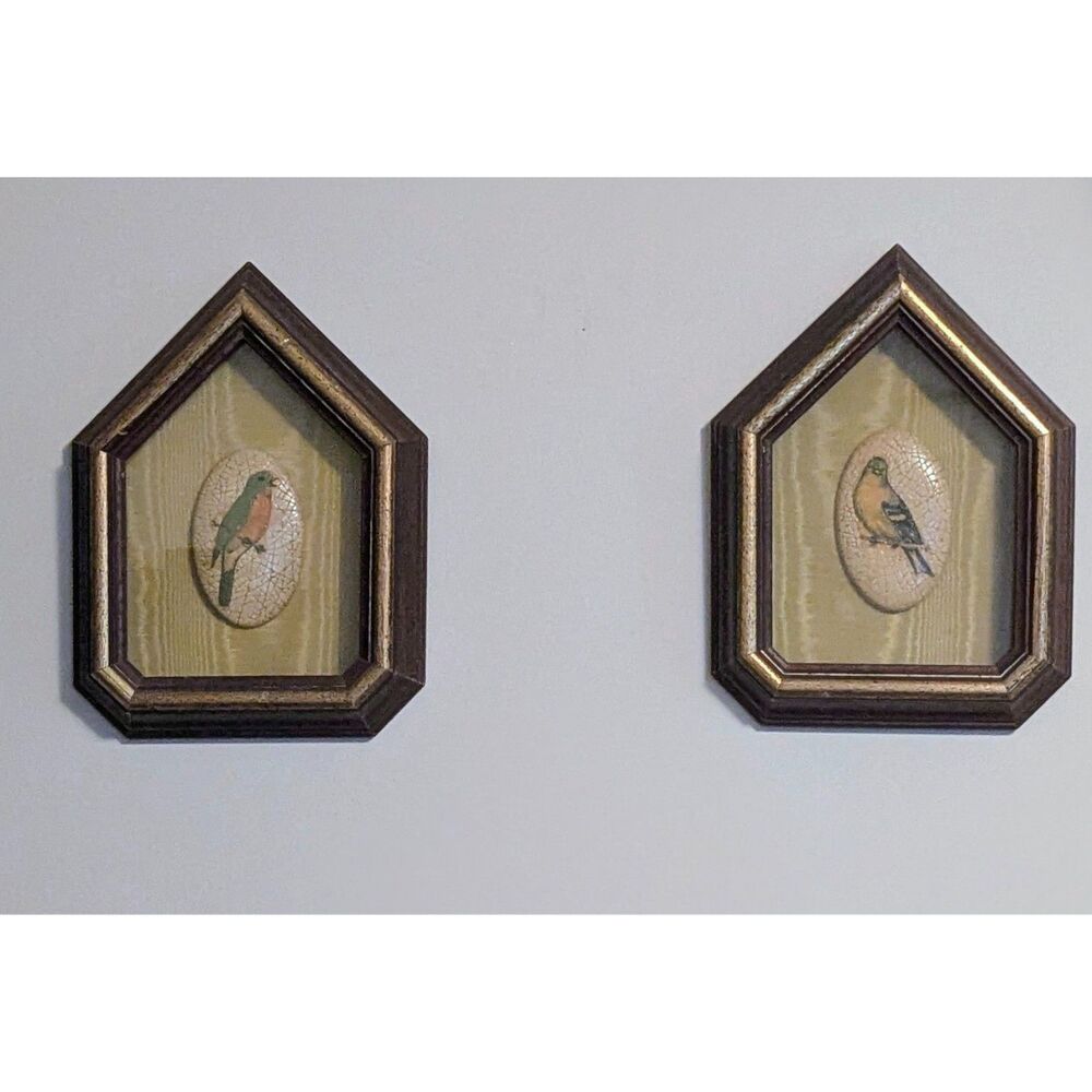 UNIQUE! Set of 2 Vintage Bird Art in Pentagon Wood Shadowbox Frames Ceramic